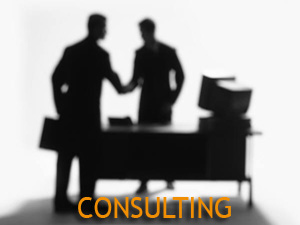 Consulting